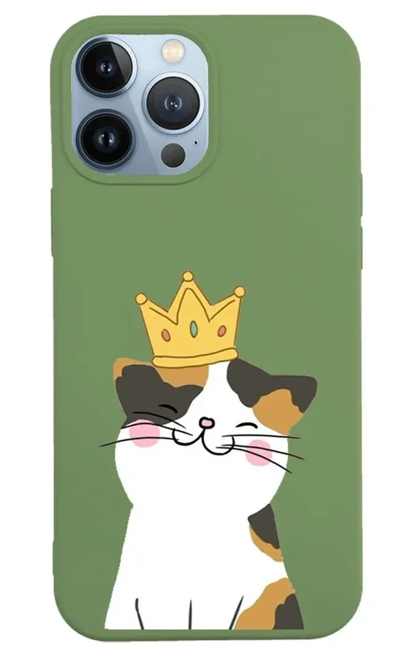 iPhone 13 Pro Lansman Kılıf - Kedi