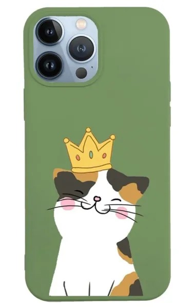 iPhone 13 Pro Lansman Kılıf - Kedi