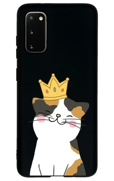 Samsung Galaxy S20 Lansman Kılıf - Kedi